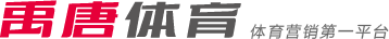 兴的网球明