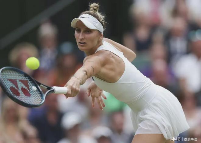 战术提供了 战术提供了